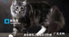 名贵猫王后代医院 名贵猫王后代医院体检被误做绝育