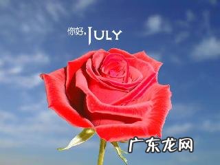 为何7月各种不 为什么七月各种不顺利