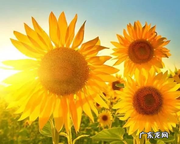 为何7月各种不 为什么七月各种不顺利