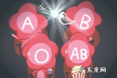ab血型的男人爱 ab血型的男人爱你的表现