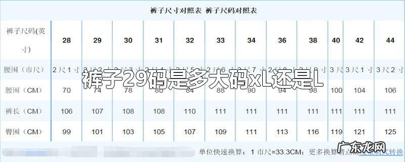 裤子29码是多大码xL还是L