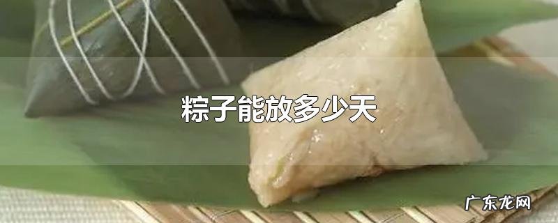 粽子能放多少天