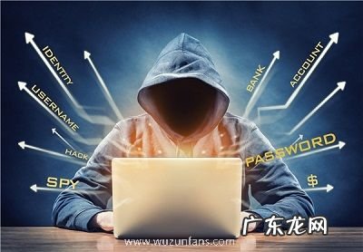 码农属于新生代农 码农属于新生代农民工