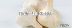 临沂特产有哪些土特产