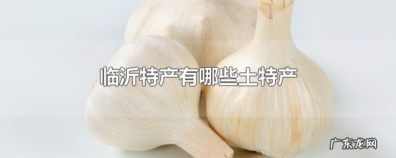 临沂特产有哪些土特产