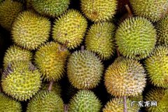 广东8箱进口榴莲 广东8箱进口榴莲阳性 已流向市场