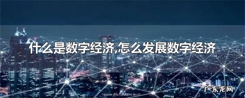 什么是数字经济,怎么发展数字经济
