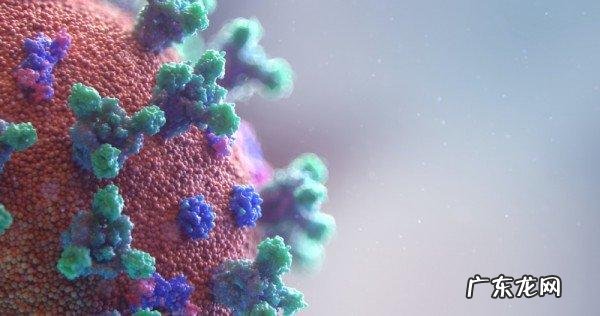 河南虞城县涉嫌瞒 河南虞城县涉嫌瞒报疫情