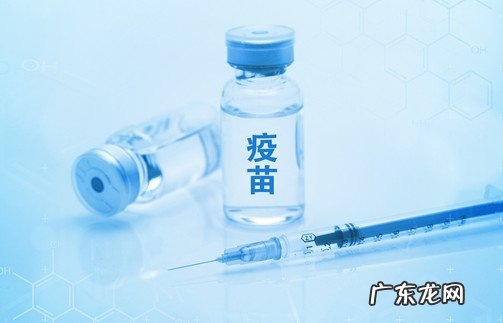 安徽智飞和北京科 安徽智飞和北京科兴哪个好