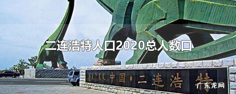 二连浩特人口2020总人数口