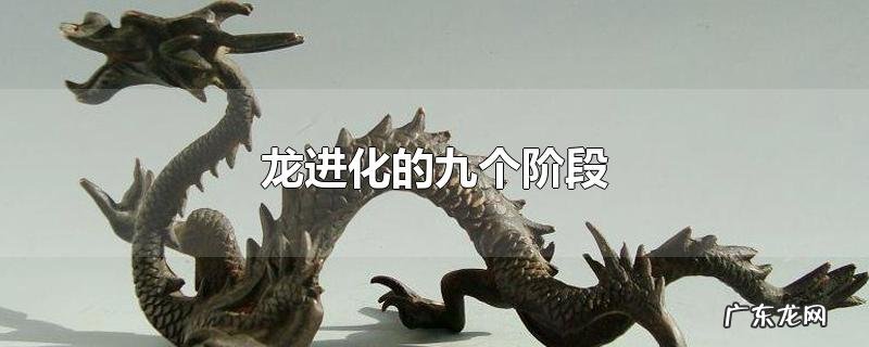 龙进化的九个阶段