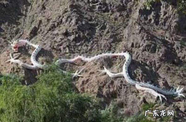 玉龙雪山真龙现身 玉龙雪山真龙现身