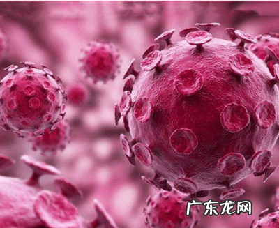 世界预言疫情20 世界预言疫情2022年结束