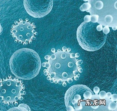 世界预言疫情20 世界预言疫情2022年结束
