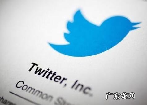 下载了推特但注册 下载了推特但注册不了