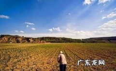土地管理法202 土地管理法2021年新规定