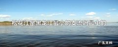 松花江是黑龙江最小的支流吗最小的