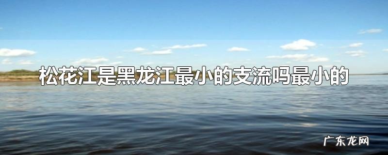 松花江是黑龙江最小的支流吗最小的