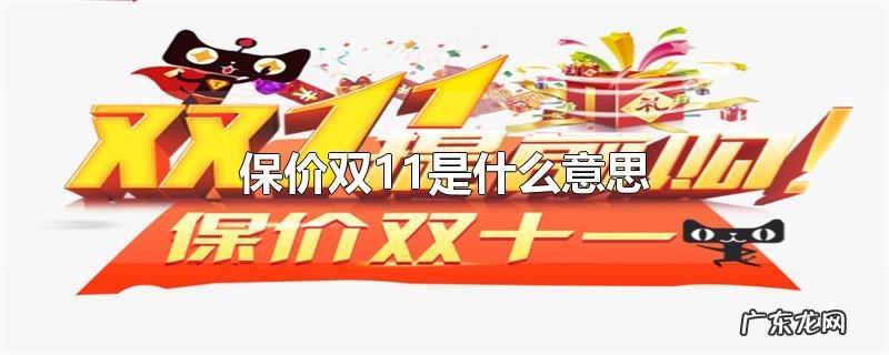 保价双11是什么意思