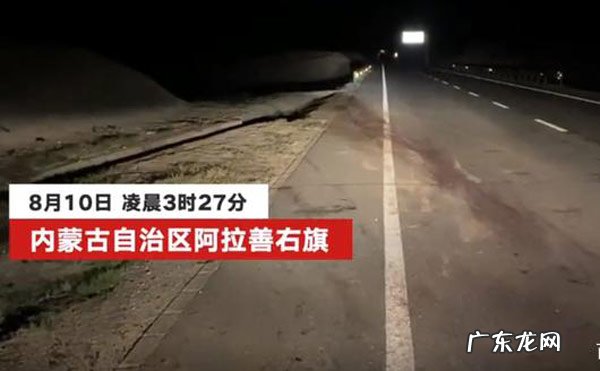于月仙车祸事发路 于月仙车祸事发路段常有骆驼穿行