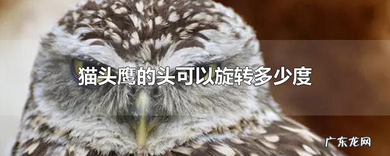 猫头鹰的头可以旋转多少度