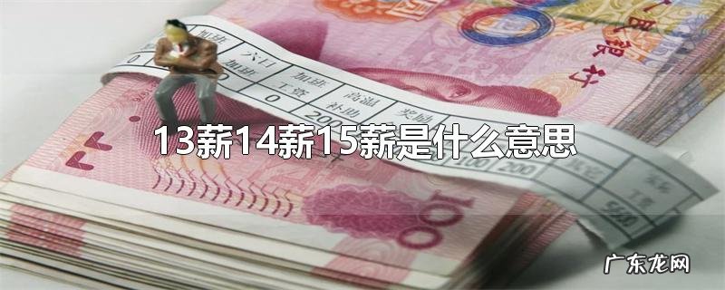 13薪14薪15薪是什么意思