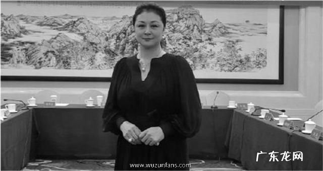 于月仙乘坐车辆撞 于月仙乘坐车辆撞上骆驼致车祸