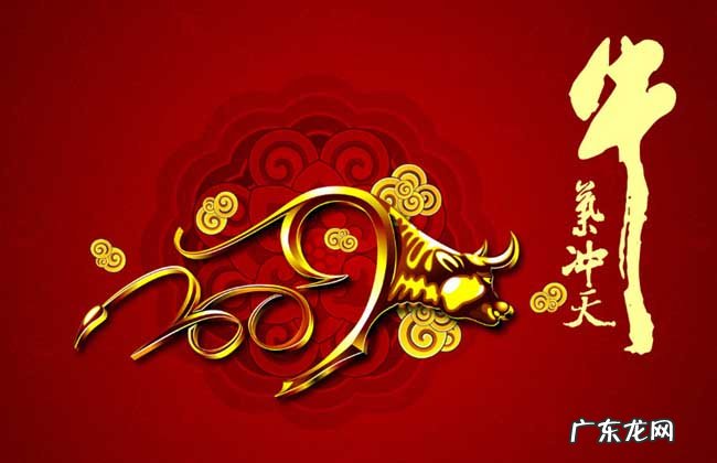 1997涧下水命 1997涧下水命的女孩