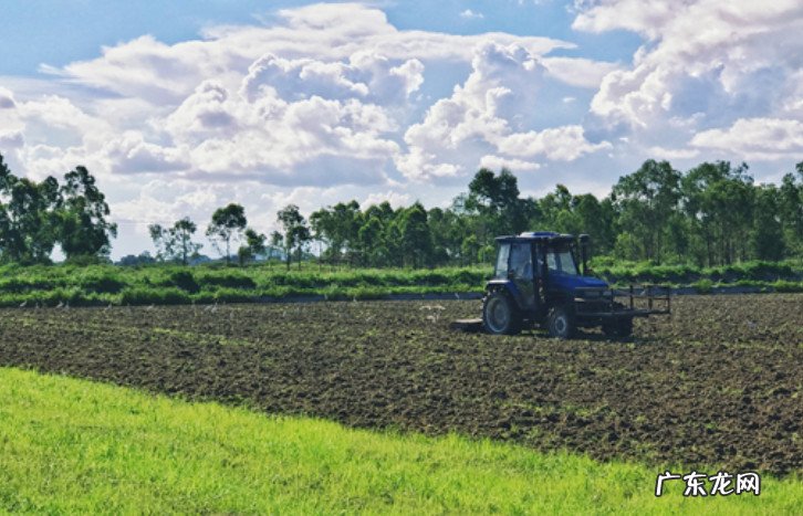 耕地地力保护补贴 耕地地力保护补贴标准2021