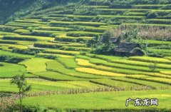 2021年农村宅 2021年农村宅基地怎么申请
