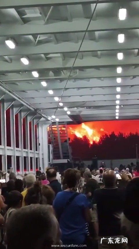 希腊山火失控 天 希腊山火失控 天空被火光映红