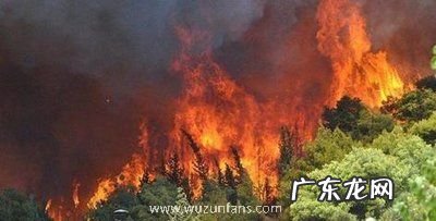 希腊山火失控 天 希腊山火失控 天空被火光映红