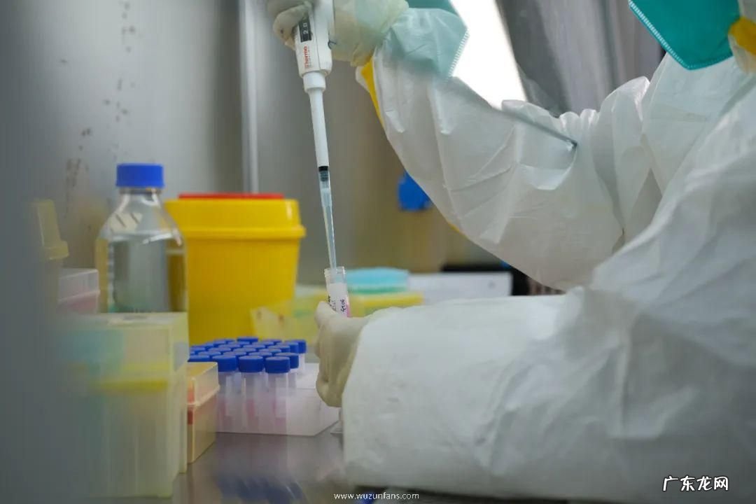 做核酸为何10 做核酸为什么10人放一起