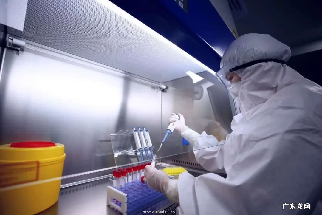 做核酸为何10 做核酸为什么10人放一起