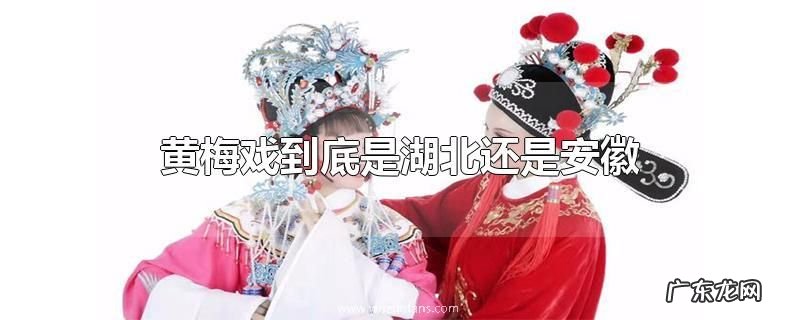 黄梅戏到底是湖北还是安徽
