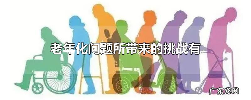 老年化问题所带来的挑战有