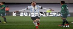 第一届足球世界杯在哪里举行