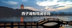 西子湖有观澜亭吗