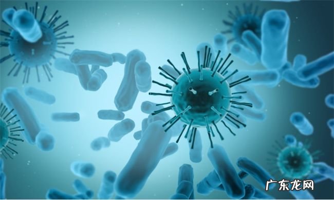 武汉7名外来务工 武汉7名外来务工人员核检阳性