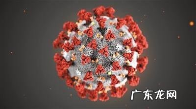 武汉7名外来务工 武汉7名外来务工人员核检阳性