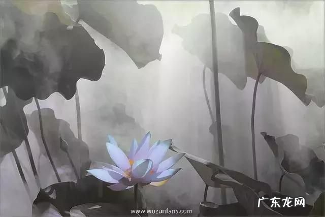 交运后多久会有好 交运后多久会有好运