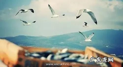 交运当天忌讳看手 交运当天忌讳看手机吗