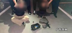 父子用毒镖射杀1 父子用毒镖射杀100多只狗
