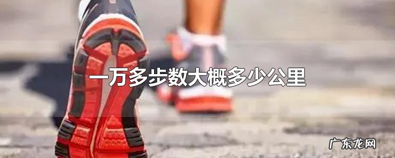 一万多步数大概多少公里