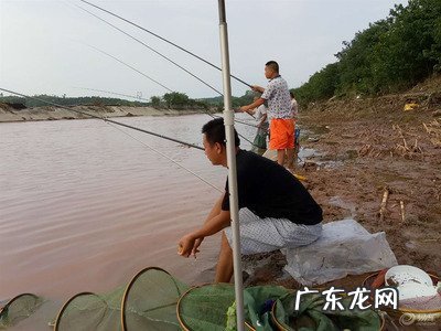 洪水过后钓鱼方法 洪水过后钓鱼方法