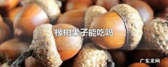 橡树果子能吃吗