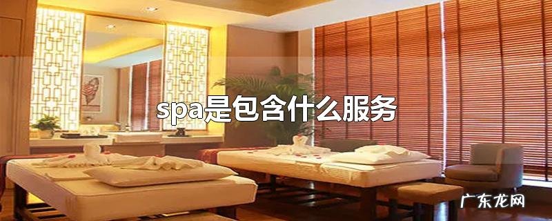 spa是包含什么服务