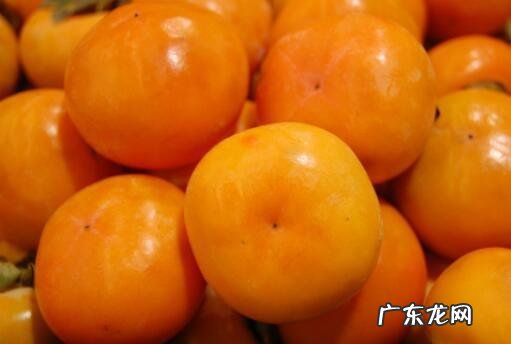 吃柿子有甚么忌讳 吃柿子有什么禁忌