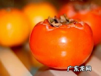 描述柿子的诗句 描写柿子的诗句