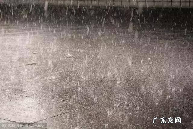 暴雨自救指南 暴雨自救指南